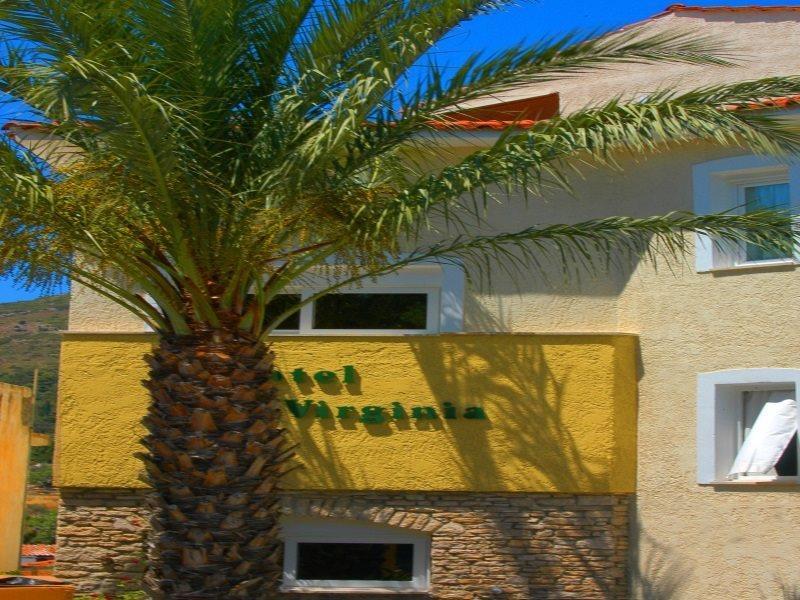Virginia Hotel Samos Town Extérieur photo